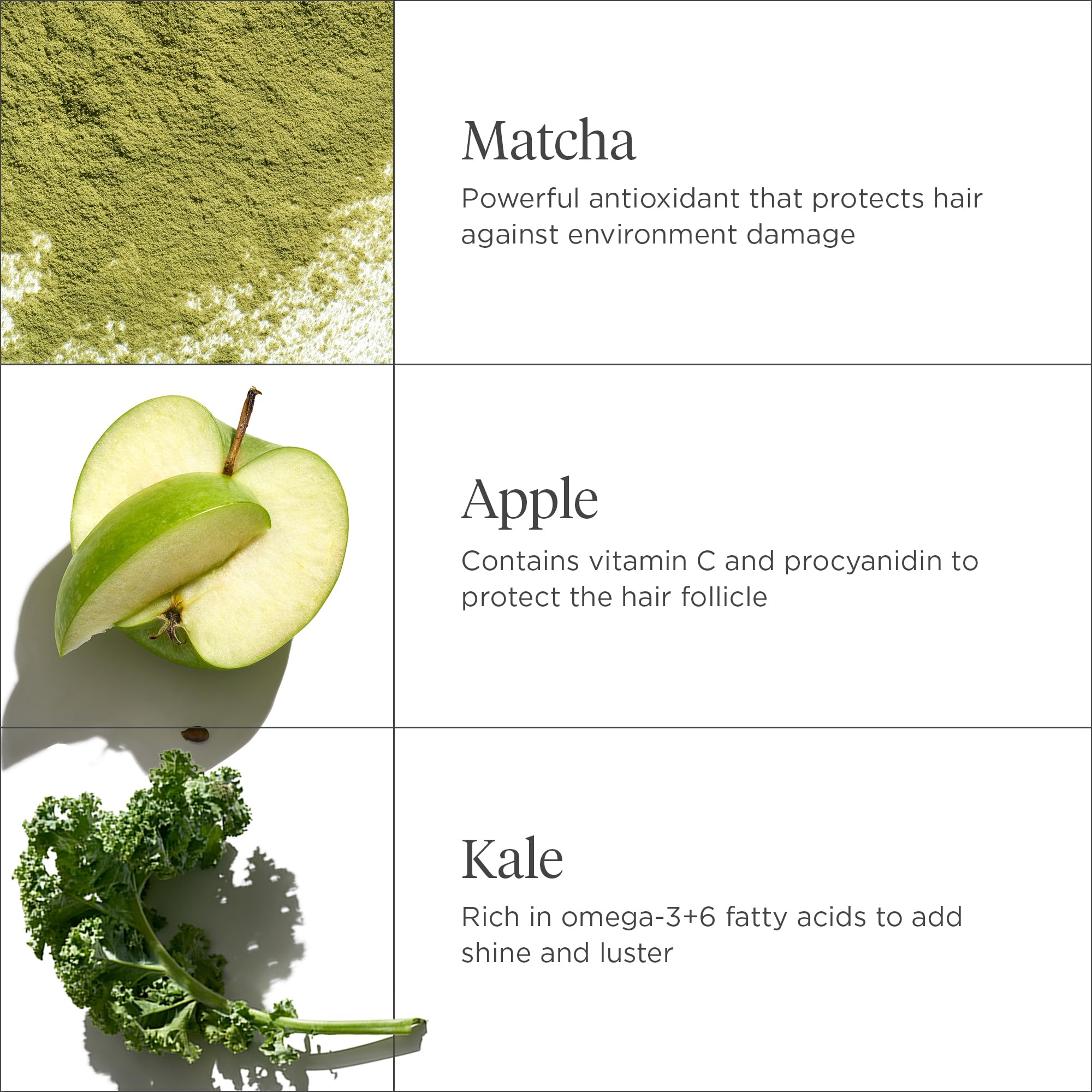 Briogeo Superfoods Matcha, Apple + Kale Hair Pack, Supports Healthy, Balanced Hair and Scalp, Shampoo and Conditioner for All Hair Types and Textures, Vegan, Cruelty-Free, 2 x 12.5 fl oz